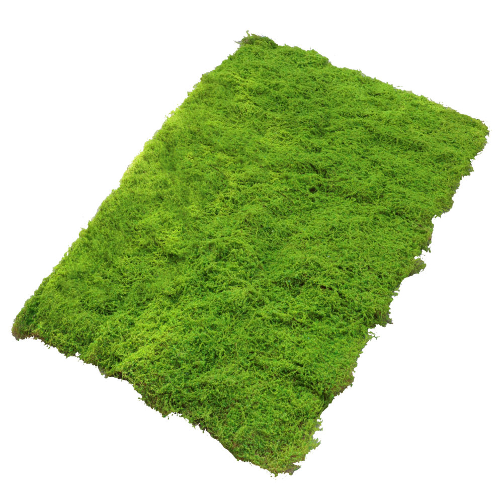 Preserved Moss Sheet - Yapay Yosun Çim Matı, Mikro Peyzaj