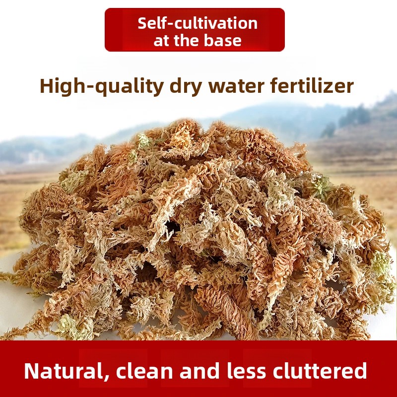 A Sınıfı Kurutulmuş Sphagnum Y - Preserved Moss Sheet incelemesi ve fiyatı