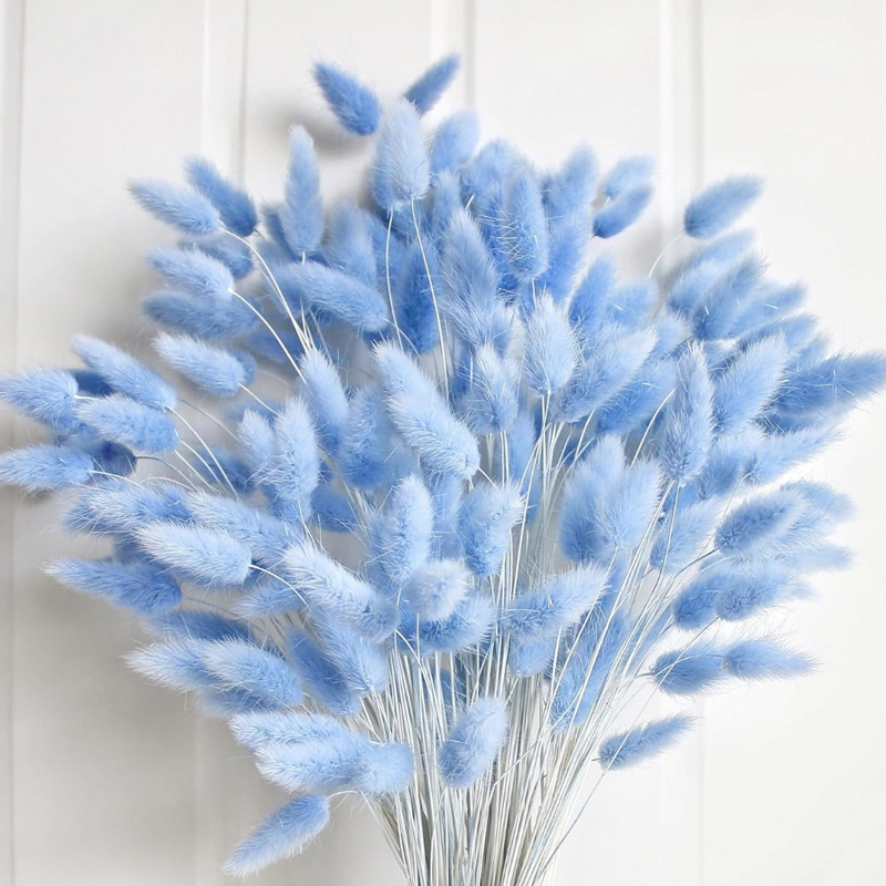 100 adet mavi tavşan kuyruğu ç - Florist Supply Vases incelemesi ve fiyatı