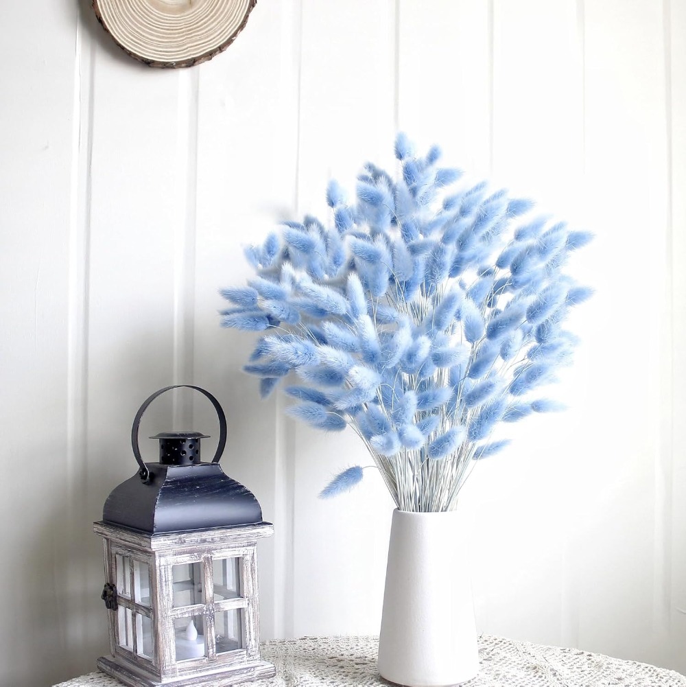 100 adet mavi tavşan kuyruğu ç - Florist Supply Vases incelemesi ve fiyatı