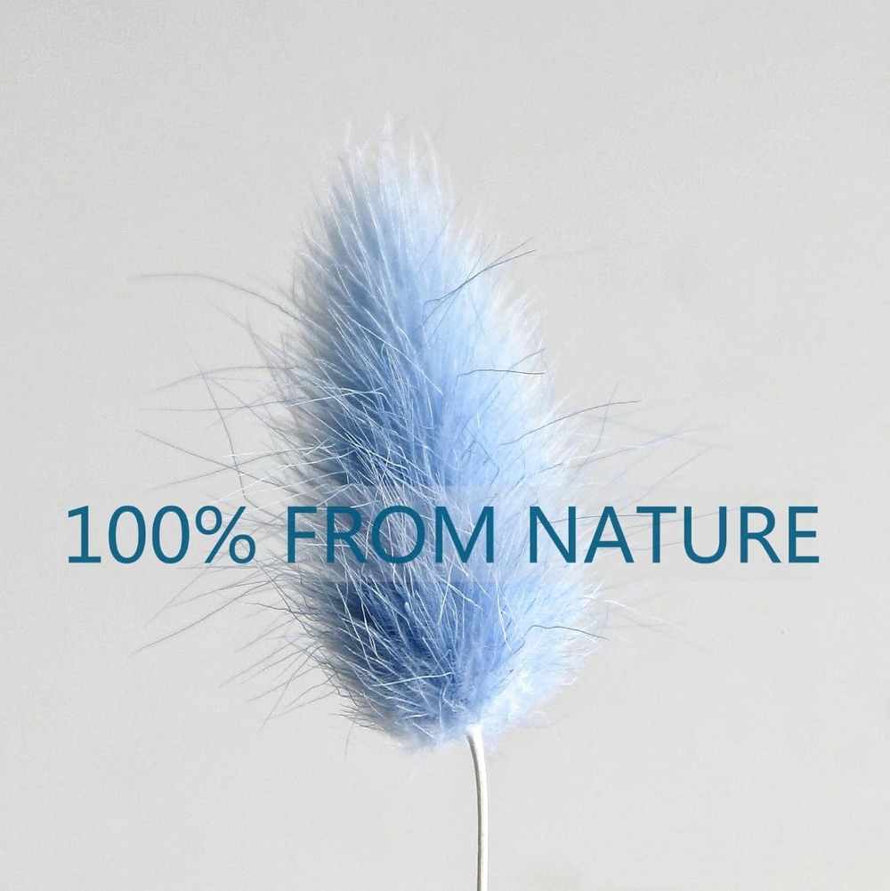 100 adet mavi tavşan kuyruğu ç - Florist Supply Vases incelemesi ve fiyatı