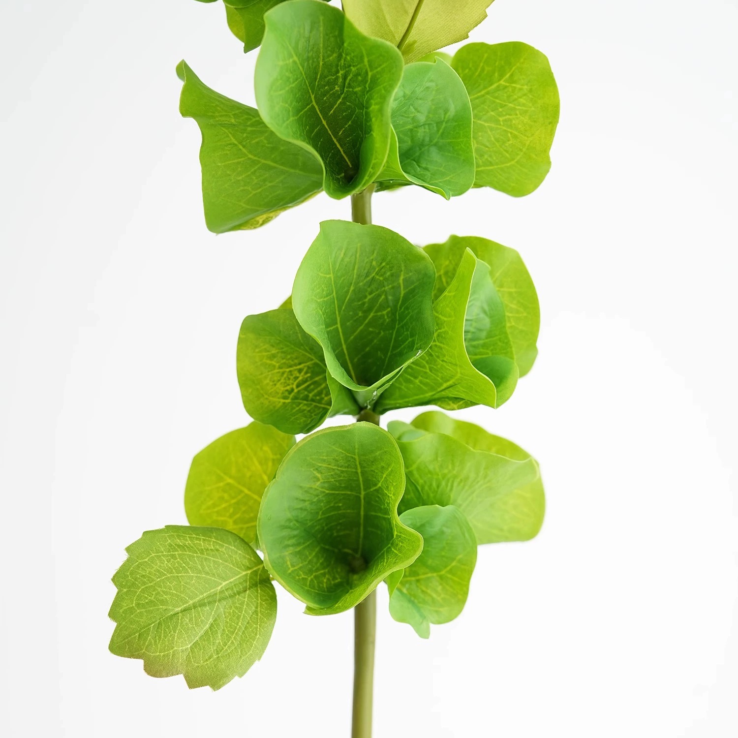 2 adet Yeşil Yapay Kabuk Çiçek - Florist Supply Bulk incelemesi ve fiyatı