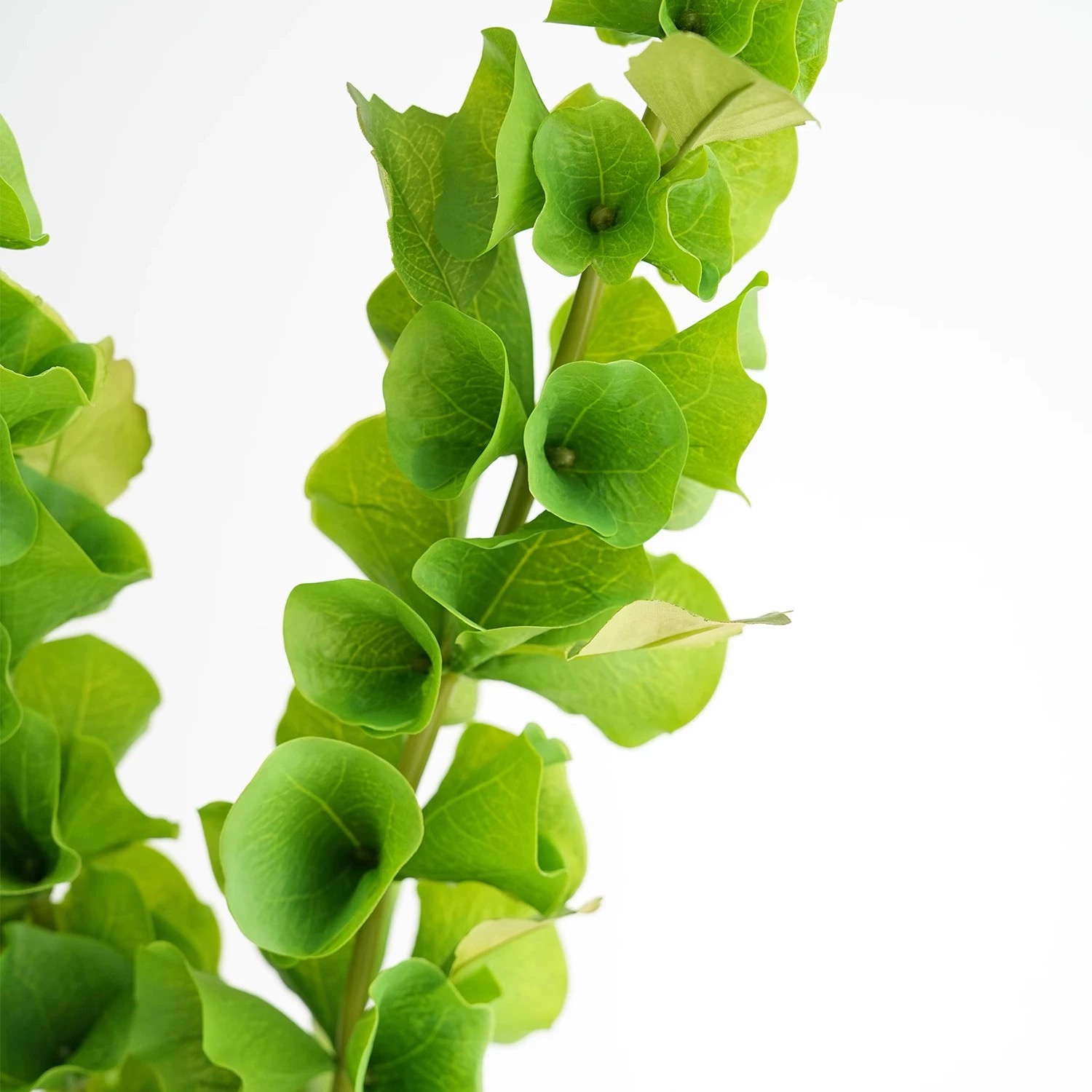 2 adet Yeşil Yapay Kabuk Çiçek - Florist Supply Bulk incelemesi ve fiyatı